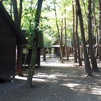 尾白の森キャンプ場
